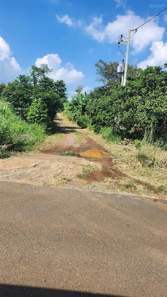 Bán đất tại thị trấn long giao, 9622 m2, đất ở đô thị, view đẹp làm nhà hàng, cafe, nghỉ dưỡng..