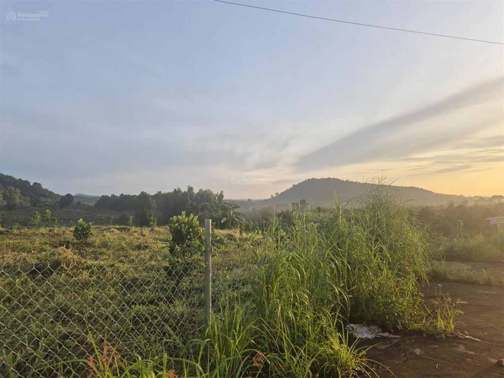 Bán đất tại thị trấn long giao, 9622 m2, đất ở đô thị, view đẹp làm nhà hàng, cafe, nghỉ dưỡng..