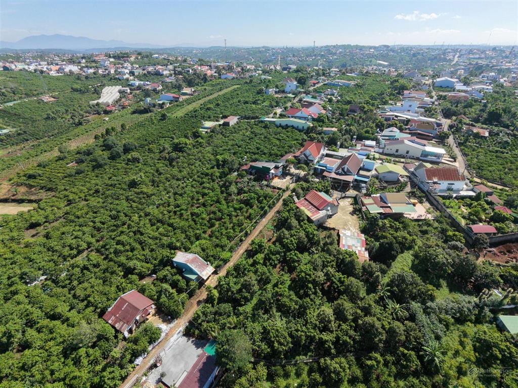 420m2 có sẵn 400m2 thổ thị trấn di linh view hồ đường ô tô, giá 2,2 tỷ