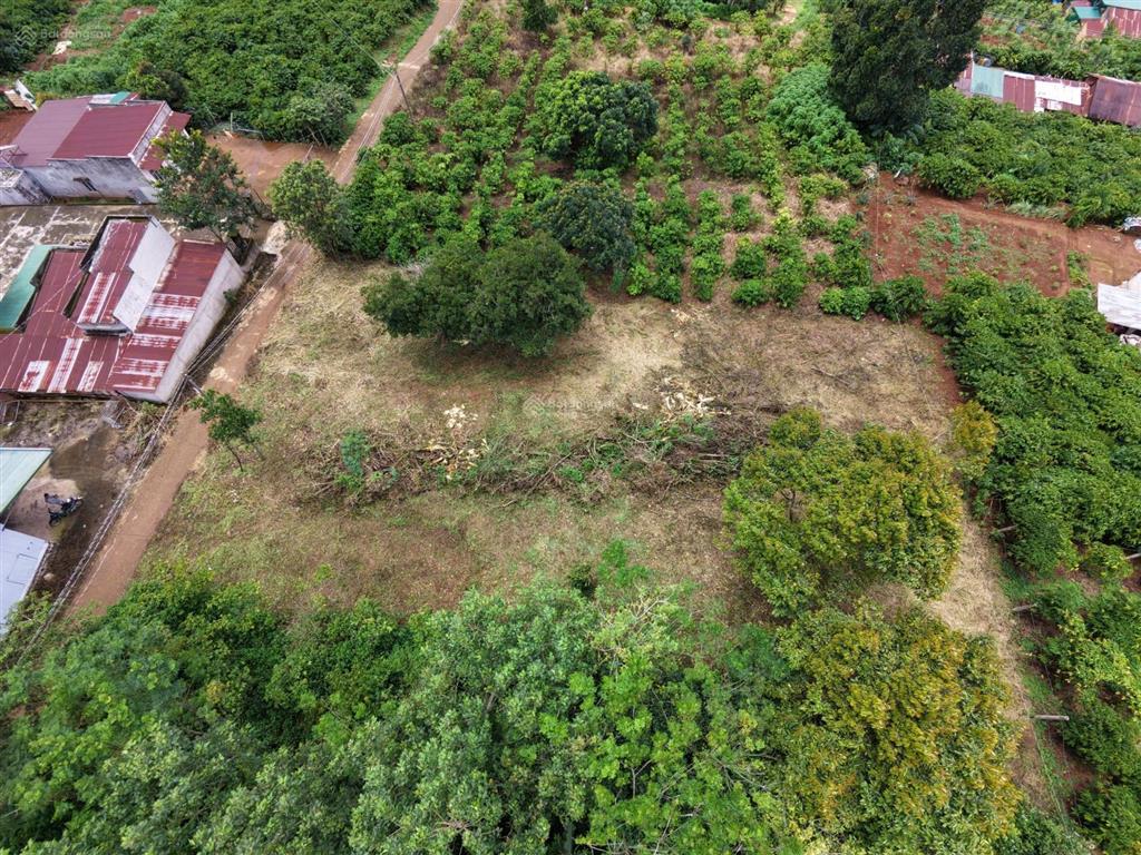 1000m2 đất di linh, 100m2 thổ cư ngay kdc, giá 1,350 tỷ