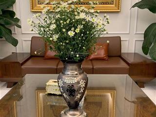 Bán nhà biệt thự song lập 185m2 khu hồ điều hòa 12 ha vinhomes the harmony, hoàn thiện có thang máy