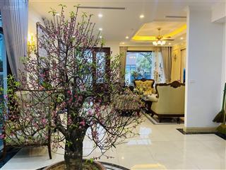 Bán biệt thự song lập khu hồ điều hòa 12ha vinhomes the harmony, giá thỏa thuận, 152 m2
