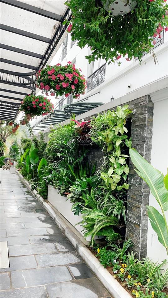 Bán gấp biệt thự song lập 213.7m2 vinhomes the harmony 5pn, 5wc hoàn thiện cực đẹp