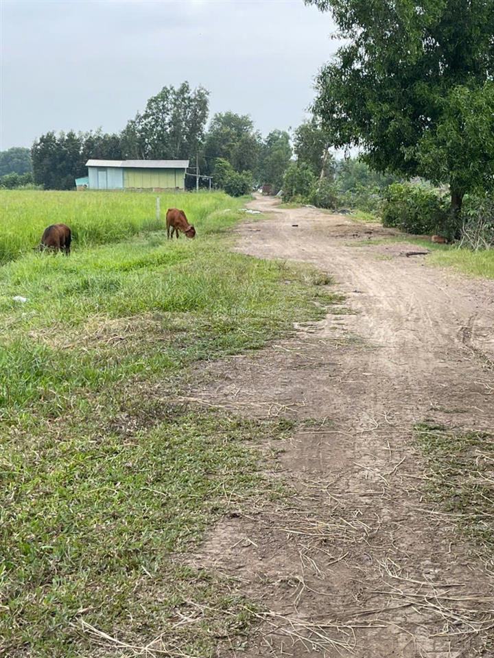 Mặt tiền nguyễn thị ly, xuân thới sơn, hóc môn, giá 2,3tr/m2
