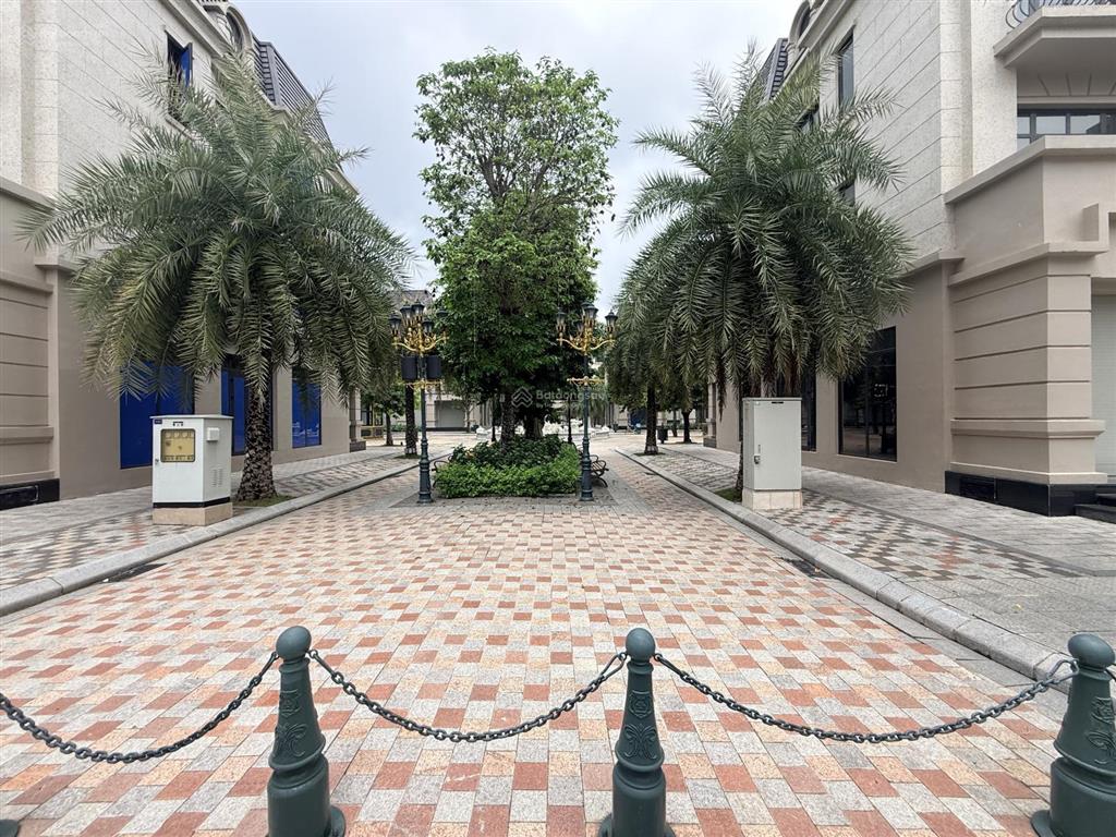 Biệt thự đơn lập vinhomes ocean park 2. 300m2, giá chỉ 38 tỷ