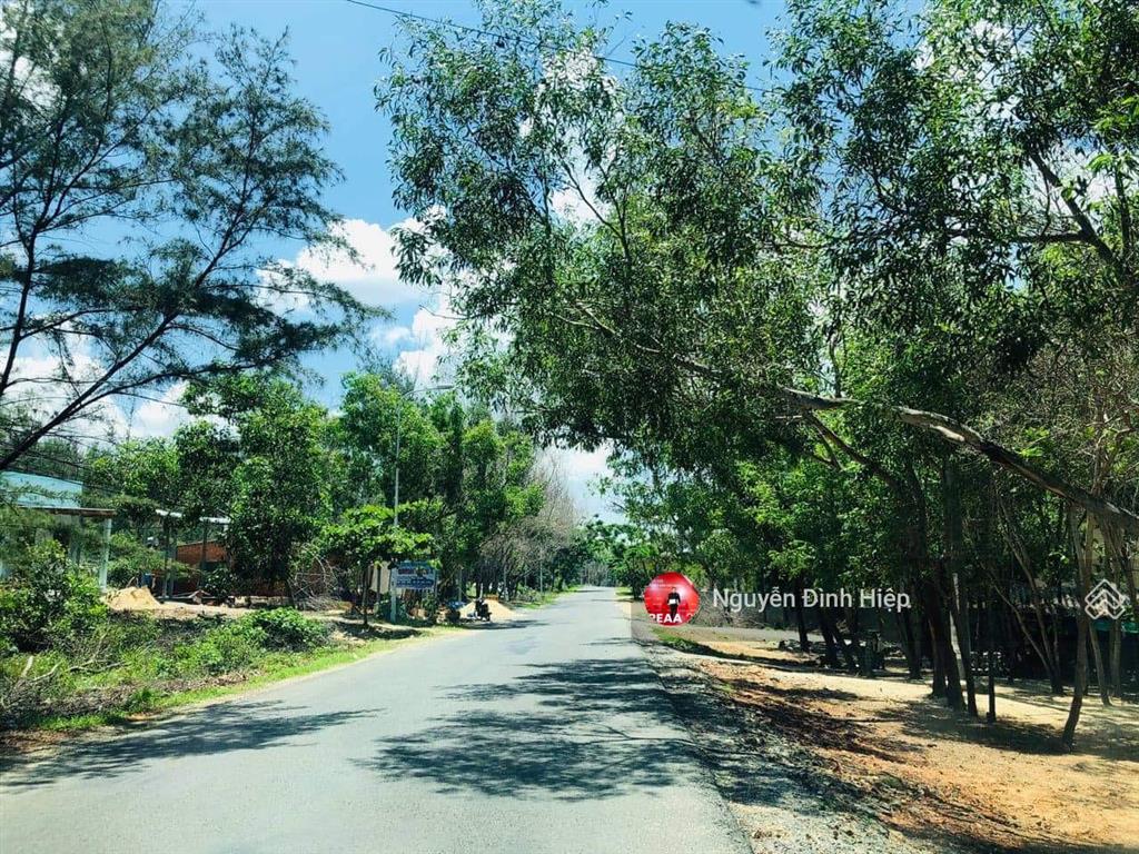 Bán 19550m2 mặt tiền biển 719, kê gà, giá tốt 5tr/m2 đã đóng thuế 1 lần