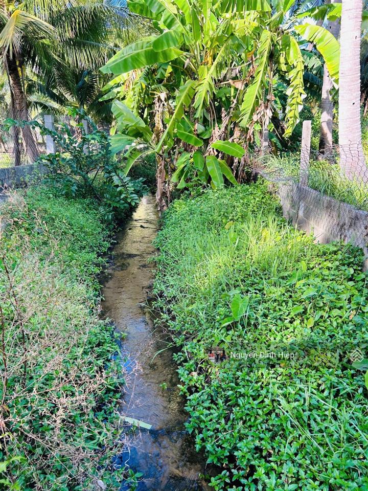 Bán 2000m2 đất giáp suối, có vườn dừa đẹp đường bàu me, thiện nghiệp giáp sungroup