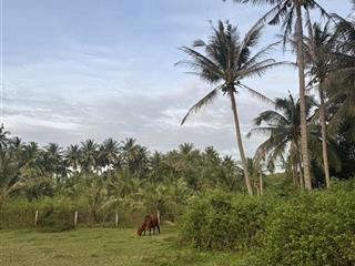 Bán 3102m thổ cư đường bàu me, thiện nghiệp giáp sun group giá siêu tốt