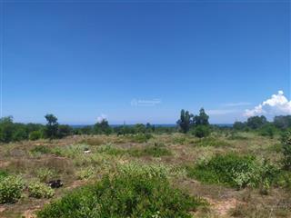 Bán 1000m đường trần hữu xoàng, mũi né gần sun group