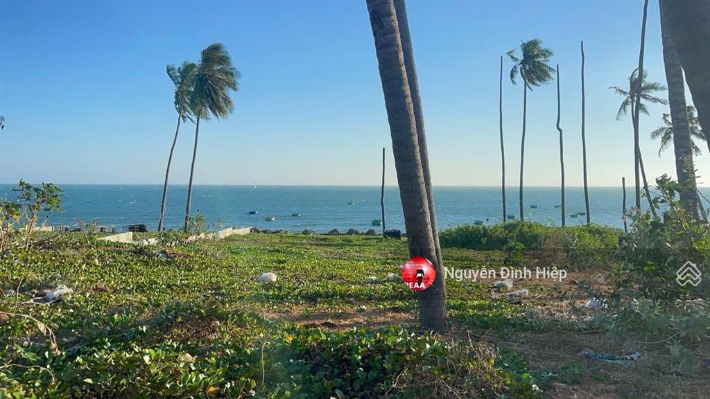 Cho thuê 1237m2 mặt biển huỳnh thúc kháng, mũi né kinh doanh tốt