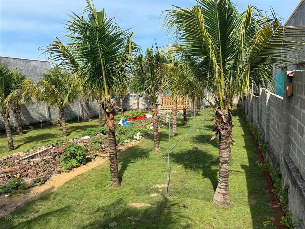 Bán 1168m2 thổ cư mặt tiền biển trần lê, tiến thành gần novaworld giá tốt