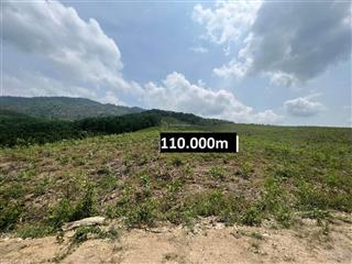 Bán 11 hecta đất giáp bêtông hơn 300m làm nhà vườn, trang trại gần tt khánh vĩnh giá rẻ