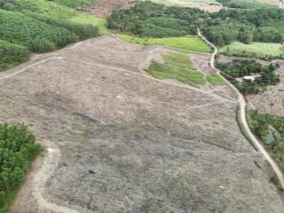 Bán 11 hecta đất có suối nhỏ, mặt tiền hơn 300m betong gần trung tâm khánh vĩnh  0788 558 ***