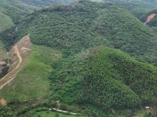 Bán 40 hecta huyện khánh vĩnh, tỉnh khánh hoà, sổ đầy đủ giá rẻ  0788 558 ***