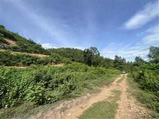 bán 3 hecta đất xã Diên Thọ, Diên Khánh gần Quốc Lộ 27C giá rẻ LH 0788.558.552