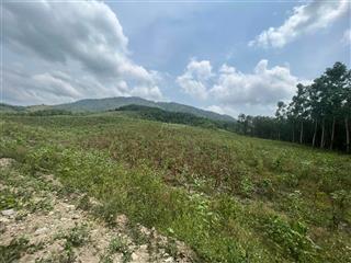 Bán 11 hecta mặt tiền hơn 300m đường bê tông giá rẻ gần trung tâm huyện khánh vĩnh, khánh hoà