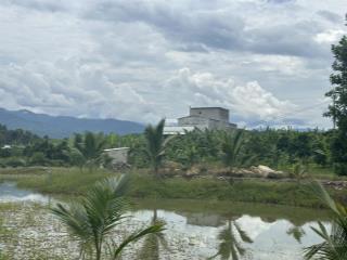 Bán nhà vườn, nhà yến có sẵn bưởi, sầu riêng 15.000m2 đường nhựa tỉnh lộ 2, xã sông cầu, khánh vĩnh