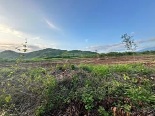 Bán đất bằng phẳng 2,8 hecta đường ô tô làm nhà vườn, trang trại xã diên đồng, diên khánh giá rẻ