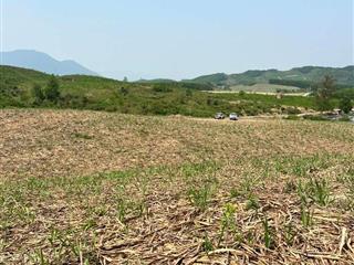 bán 4 hecta làm chăn nuôi, vườn ươm nhà kính huyện Khánh Vĩnh, Khánh Hoà