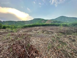 Bán 1,8 hecta đất gần hồ cây sung, xã diên tân, diên khánh, đường ô tô giá rẻ  0788 558 ***