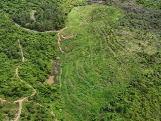 bán 3 hecta đất gần cụm Công Nghiệp Sông Cầu, Khánh Vĩnh, Khánh Hòa giá rẻ