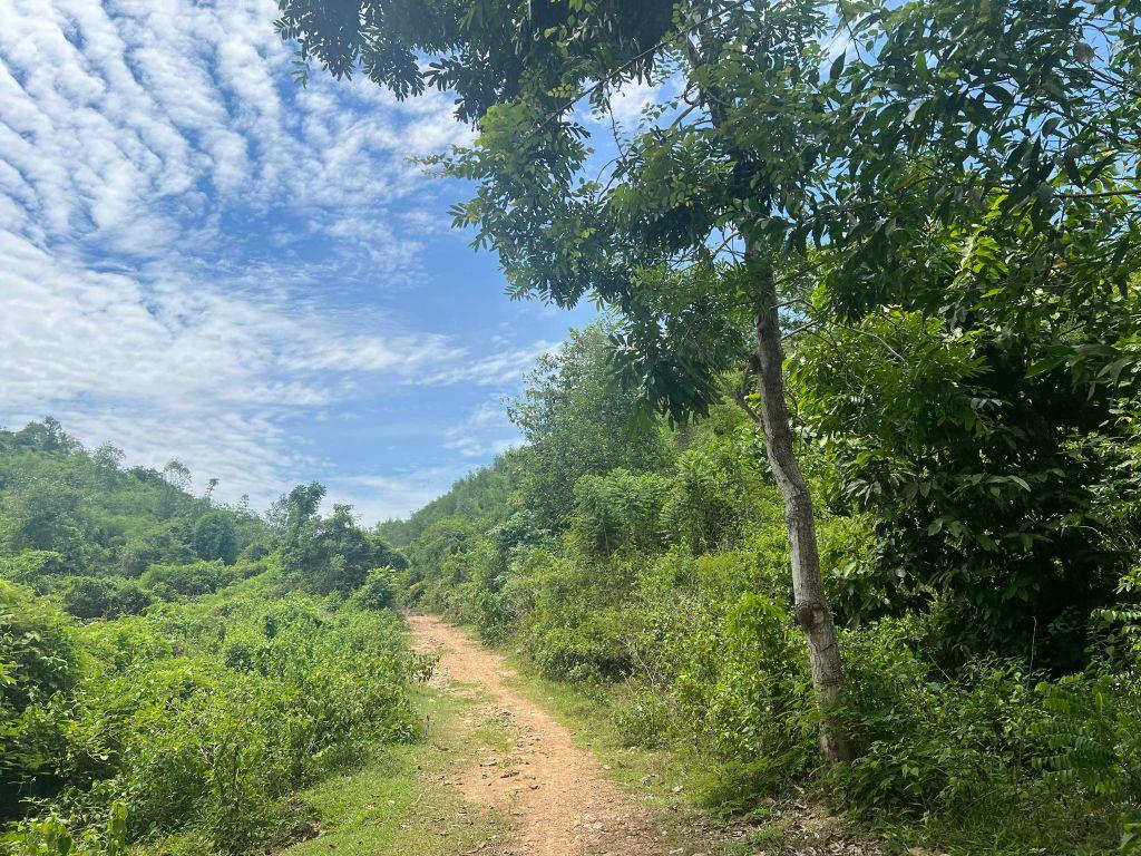 bán 3 hecta đất gần cụm Công Nghiệp Sông Cầu, Khánh Vĩnh, Khánh Hòa giá rẻ