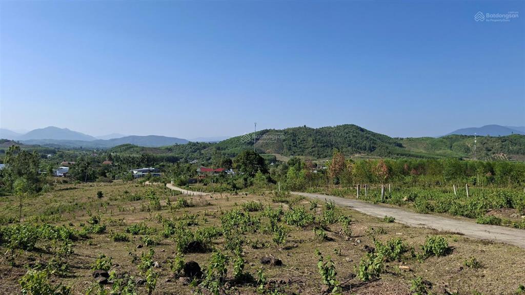 Bán đất làm nhà vườn giá chỉ 650 triệu rộng 1.800m2 xã khánh phú khánh vĩnh  0788 558 ***