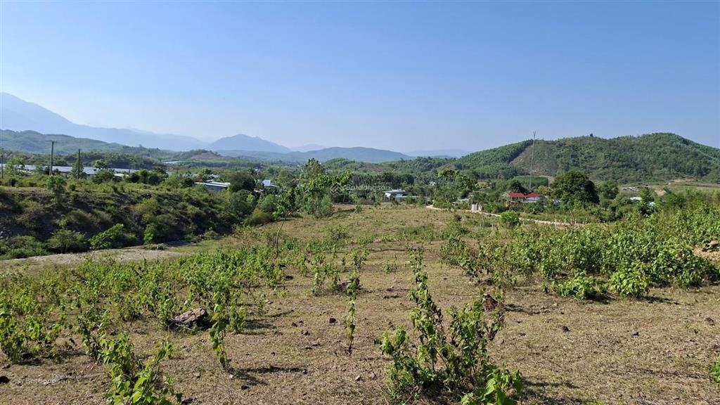 Bán đất làm nhà vườn giá chỉ 650 triệu rộng 1.800m2 xã khánh phú khánh vĩnh  0788 558 ***