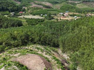 Bán đất giá 70k/m2 rộng 6.700m2 gần đường nhựa hương lộ 62 xã khánh phú, khánh vĩnh  0788 558 ***