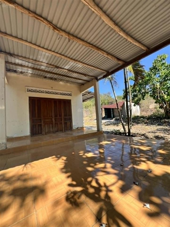 Bán 3,1 hecta đất quy hoạch thổ cư có sẵn nhà vườn đường ô tô gần nha trang giá rẻ  0788 558 ***