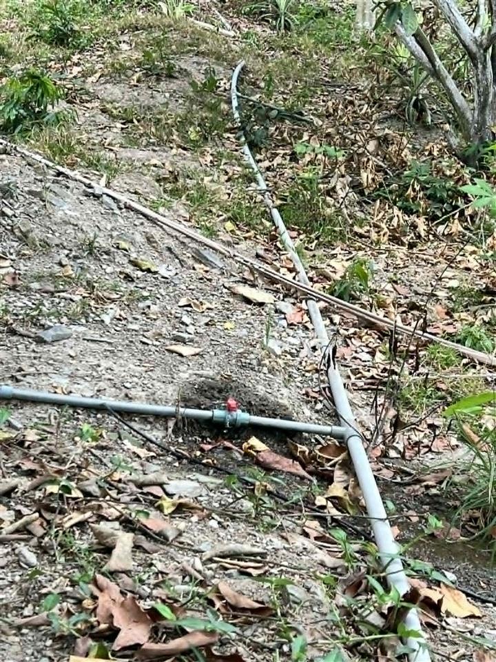 Bán vườn trái cây 1 hecta có sẵn hệ thống tưới gần trung tâm khánh vĩnh giá rẻ.  0788 558 ***