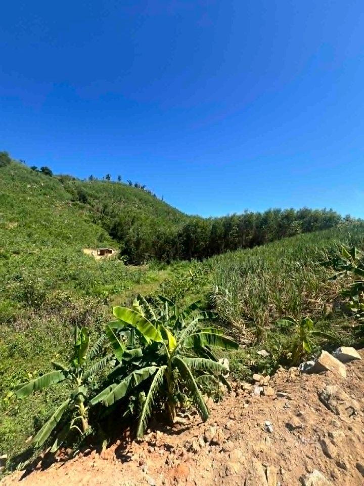 bán 2.500m2 đất mặt tiền đón đầu đường mới Nha Trang - Khánh Sơn giá rẻ 