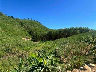 bán 2.500m2 đất mặt tiền đón đầu đường mới Nha Trang - Khánh Sơn giá rẻ 