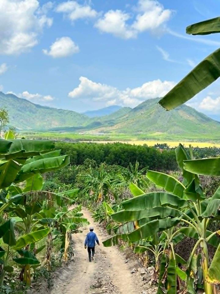 bán đất 13.000m2 làm nhà vườn view đẹp cách Nha Trang 35p giá chỉ 114k/m2