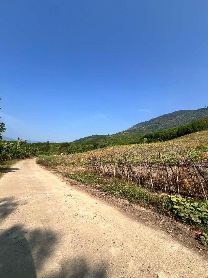 sở hữu quỹ đất 11 hecta giáp betong 400m mặt tiền gần cao tốc mới Nha Trang - Đà Lạt giá rẻ