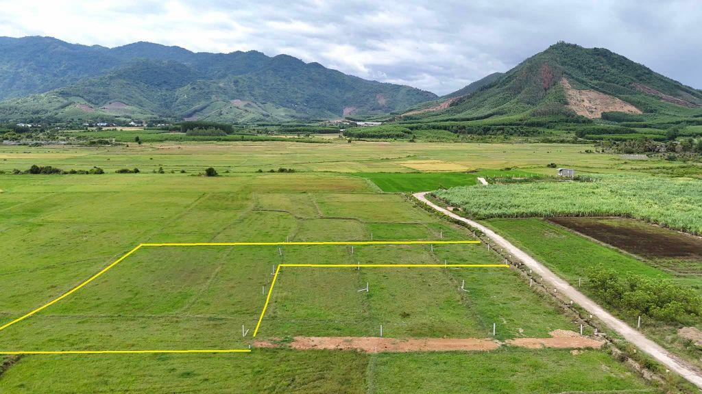 bán 2.000m view đẹp gần chợ trường Diên Tân, Diên Khánh giá chỉ 750k/m2