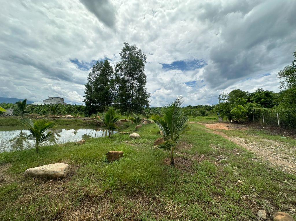 nhà vườn có sẵn 15.000m2 đường nhựa Tỉnh Lộ 2 giá rẻ, xã Khánh Vĩnh, Khánh Hòa