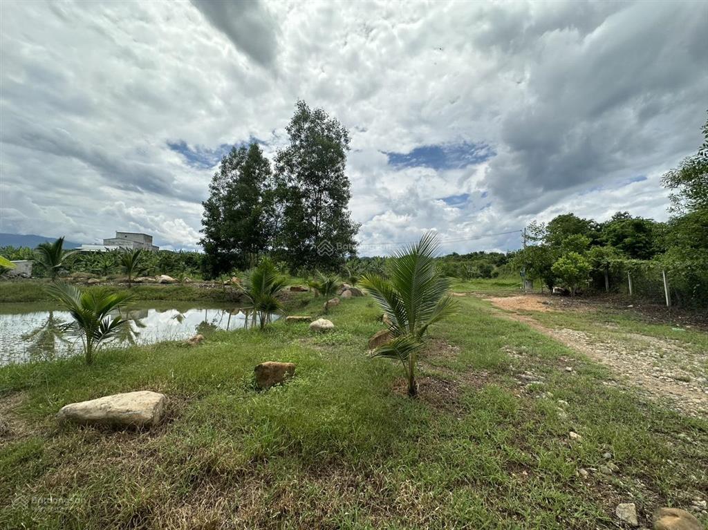 Bán nhà vườn, nhà yến, vườn trái cây có sẵn 15.000m2 đường nhựa tỉnh lộ 2 giá rẻ  0788 558 ***