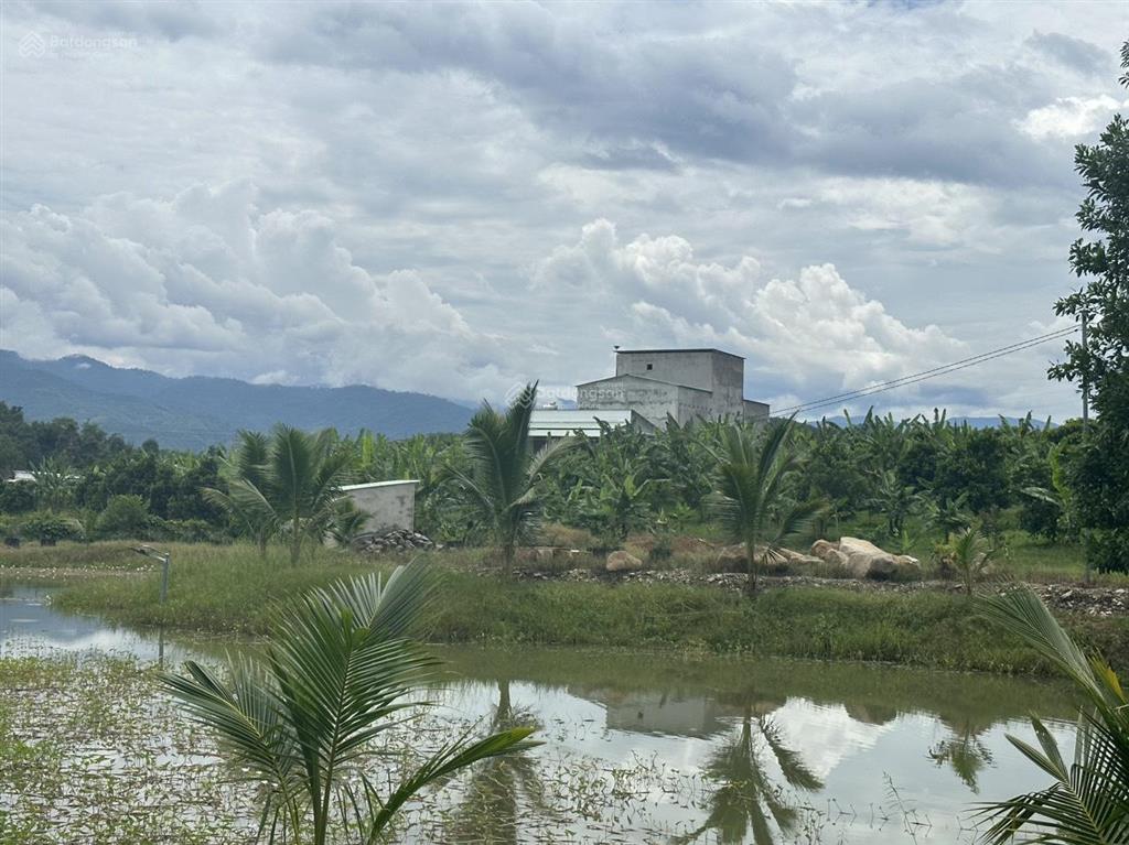 Bán nhà vườn, nhà yến, vườn trái cây có sẵn 15.000m2 đường nhựa tỉnh lộ 2 giá rẻ  0788 558 ***