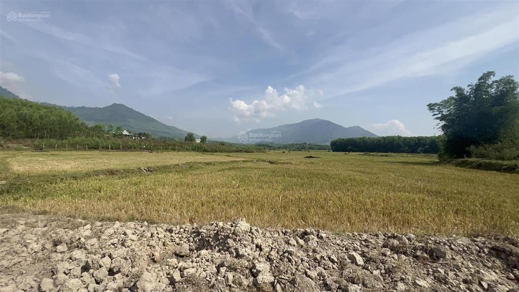 Bán đất làm nhà vườn view đẹp giá chỉ 480tr rộng 1.500m2 xã khánh trung, khánh vĩnh, khánh hòa