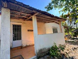 Bán vườn trái cây, nhà cấp 4 rộng 3 hecta cạnh đường QL27C xã Diên Thọ, Diên Khánh