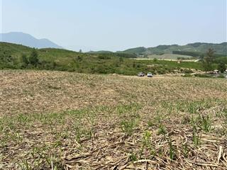 Bán 4.1 hecta quy hoạch đất trang trại, chăn nuôi, vườn ươm giá chỉ 85k/m2, khánh vĩnh, khánh hòa