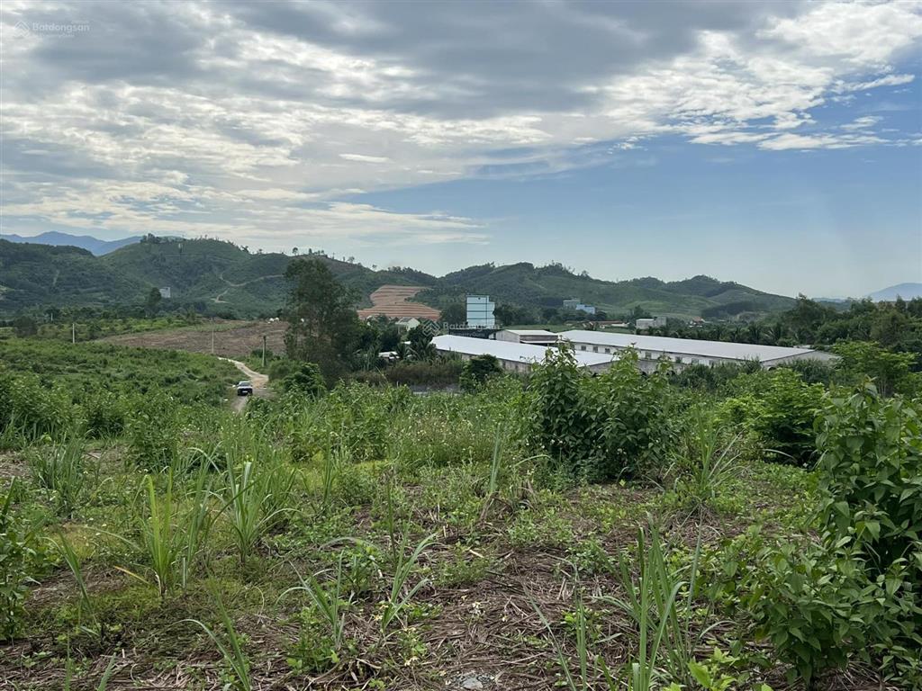 Bán 4.1 hecta quy hoạch đất trang trại, chăn nuôi, vườn ươm giá chỉ 85k/m2, khánh vĩnh, khánh hòa