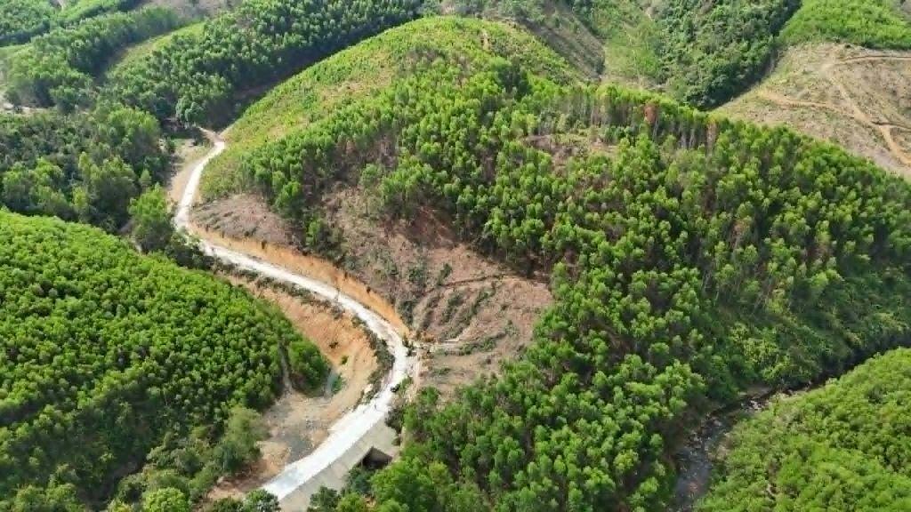 Sở hữu 5,2 hecta với giá chỉ 60k/m2 mặt tiền dài đường betong Khánh Vĩnh, Khánh Hòa