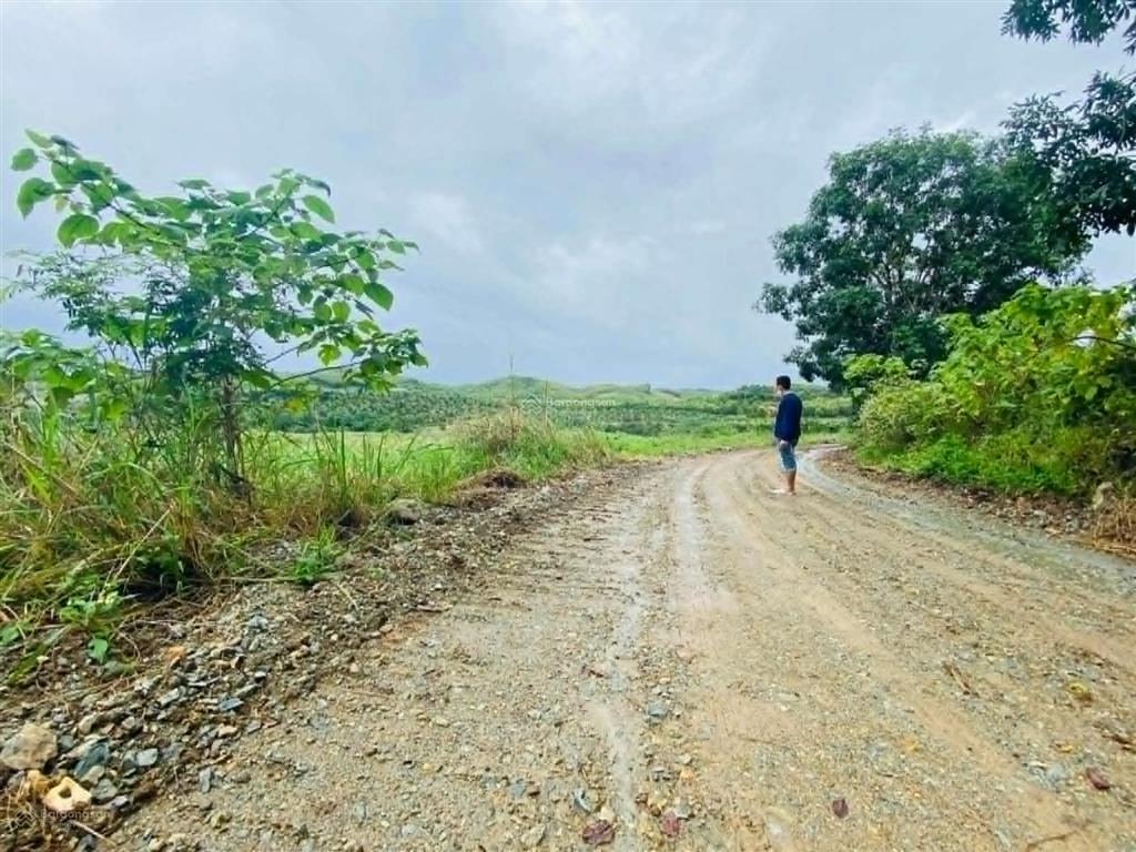 Bán 5,2 hecta đất bằng phẳng đẹp gần nha trang giá chỉ 160k/m2 đường ô tô.  0788 558 ***