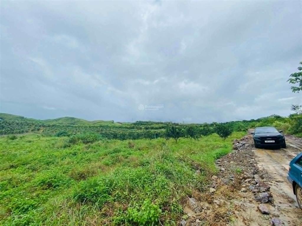 Bán 5,2 hecta đất bằng phẳng đẹp gần nha trang giá chỉ 160k/m2 đường ô tô.  0788 558 ***