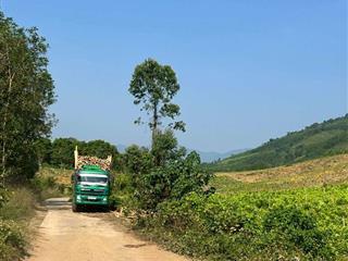 bán 11 hecta giá chỉ 90k/m2, mặt tiền betong hơn 300m rộng rãi, xã Khánh Vĩnh, Khánh Hoà