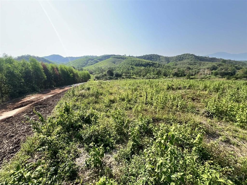 Bán 2 hecta giáp betong 315m gần ttam khánh vĩnh, khánh hoà giá chỉ 175k/m2  0788 558 ***