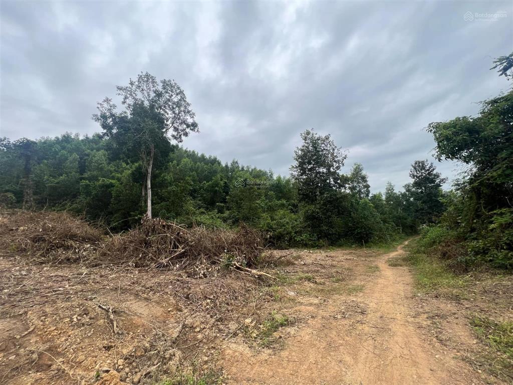 Bán 1,1 hecta cách biển nha trang 35p, giá chỉ 120k/m2 đường ô tô.  0788 558 ***