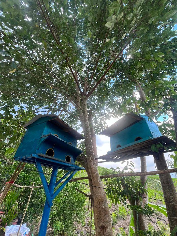 bán vườn trái cây 1 hecta đường betong gần trung tâm Khánh Vĩnh, Khánh Hoà giá rẻ